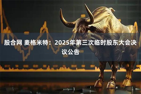 股合网 麦格米特：2025年第三次临时股东大会决议公告