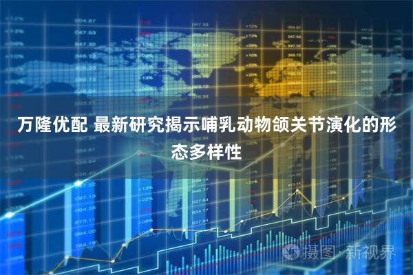 万隆优配 最新研究揭示哺乳动物颌关节演化的形态多样性