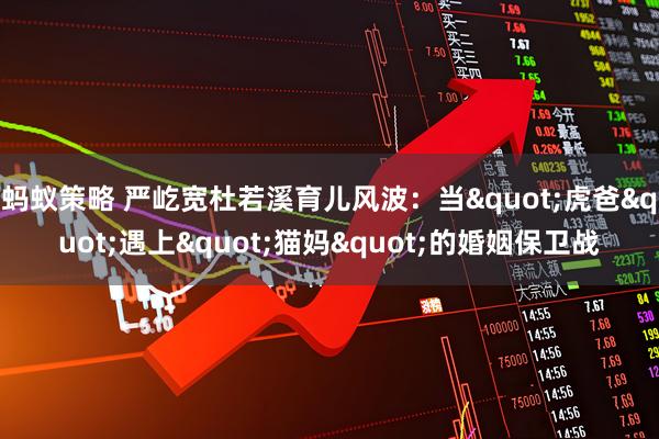 蚂蚁策略 严屹宽杜若溪育儿风波：当"虎爸"遇上"猫妈"的婚姻保卫战